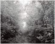 sq-16